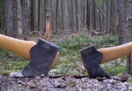 Percheziţie la locuinţa unui bărbat din comuna Vorniceni, cercetat pentru furt și tăiere fără drept de arbori 