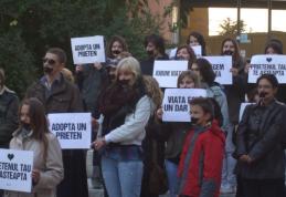 Peste 1 500 de romani au protestat in 9 orase din Romania sub deviza „Nu mai vreau caini in strada - DA Sterilizarii NU Uciderii”