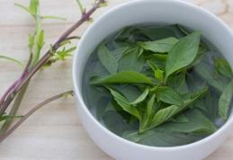 Ceaiul care tratează astmul, diabetul și scade colesterolul