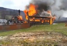 Gospodărie din comuna Pomârla cuprinsă de flăcări! Pompierii dorohoieni au intervenit pentru stingere - VIDEO