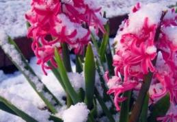 Un val de frig loveşte România. Când se întoarce vremea rea, în ce regiuni sunt aşteptate ninsori