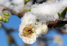 Vremea se răceşte accentuat de sâmbătă seară şi încep ninsorile. Prognoza meteo pentru week-end