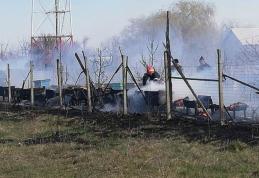 Peste 30 de stupi de albine distruși de un incendiu scăpat de sub control