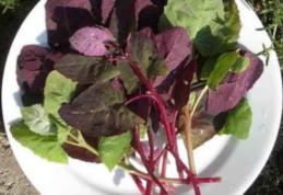 Planta de primăvară care detoxifică organismul și curăță sângele