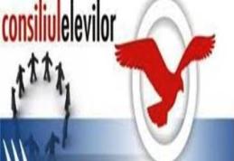 Colegiului Naţional Grigore Ghica : „Ne mândrim cu ei!”