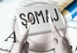 Președintele ANOFM atrage atenția asupra principalei greșeli pe care o fac angajatorii când depun cereri pentru șomaj tehnic