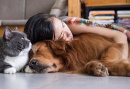 Se pot infecta pisicile şi câinii cu noul coronavirus? Ce au descoperit oamenii de ştiinţă