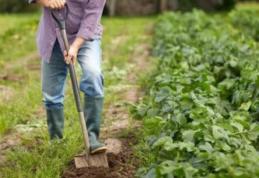 E trădare națională! Guvernul Orban, călăul agriculturii românești, pune la pământ fermierii români și lasă populația fără hrană! PNL a dat verde la p