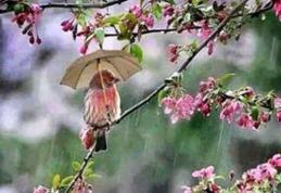 Un val de aer rece loveşte România. Când se anunţă fenomene extreme şi cât de frig se face