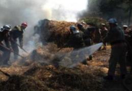 15 tone de furaje distruse într-un incendiu, la Vorniceni