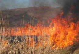 SVSU Dorohoi: Arderea vegetației uscate un pericol pentru cei din jur