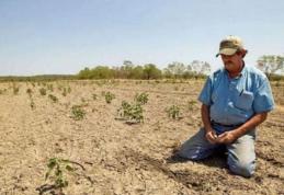 A fost aprobată înființarea Comisiei pentru despăgubirea botoșănenilor afectați de secetă