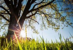 Vremea se încălzește în toată țara, vineri. Prognoza meteo pentru zilele următoare