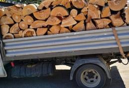 Lemne fără documente confiscate de poliţişti