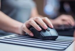 IȘJ Botoșani invită elevii, părinţii şi cadrele didactice să îşi exprime opinia privind activitățile de învățare on-line