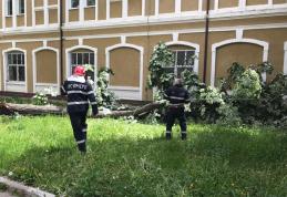 Vântul a făcut ravagii în ultimele trei ore! Pompierii în alertă – FOTO