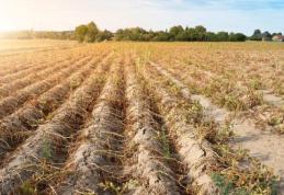 Comunicat de presă: „SECETA aduce pierderi, STATUL trebuie să susțină fermierii!!”