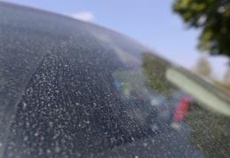 Norul de praf saharian ajunge din nou în România