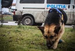 Zeci de polițiști mobilizați noaptea trecută pentru căutarea a doi copii din Dersca