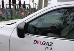 Delgaz Grid: După ridicarea stării de urgență, activitățile de relații cu publicul se realizează exclusiv online și telefonic