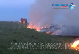 Incendiu de vegetație izbucnit la marginea municipiului Dorohoi - FOTO