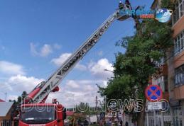 Trafic oprit pe o stradă din Dorohoi pentru tăierea a doi copaci - FOTO