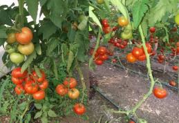 ALDE Botoșani susține menținerea subvențiilor în agricultură