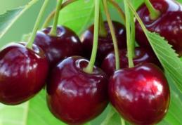Alimente banale care ne pot omorî pe loc. Incredibil, dar cireșele se numără printre ele!