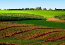 S-a dat lege. Terenurile nu vor mai putea fi vândute străinilor