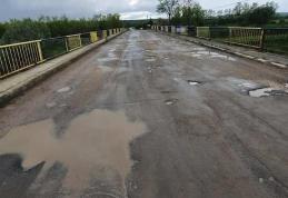 Roxana Țurcanu: Lăsați numirile membrilor de partid PNL în funcții publice și faceți lucruri concrete pentru botoșăneni - FOTO