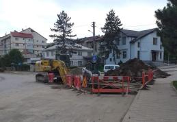 Primarul Dorin Alexandrescu: „De ce pedepsiți oamenii din Dorohoi?!