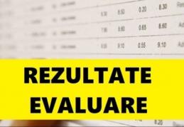 Rezultate Evaluare Națională 2020 la Botoșani. Vezi notele mult așteptate!