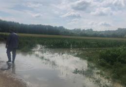 Prefectul solicită ajutor Guvernului după inundațiile din ultimele zile