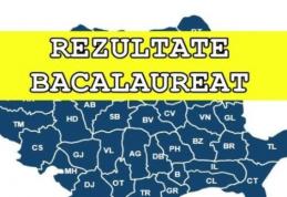 Rezultate Bacalaureat 2020: s-au publicat notele! Vezi lista oficială pentru județul Botoșani!