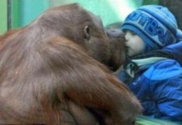 Momentul care a emoționat o lume întreagă