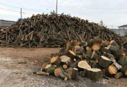 Material lemnos confiscat de la o societate din comuna Mihai Eminescu 
