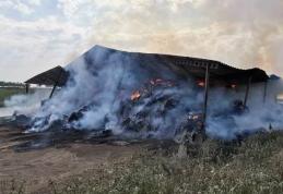 Incendiu puternic în județul Botoșani! Un depozit de furaje a fost cuprins de flăcări - FOTO