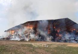 Pompierii luptă de mai mult de 24 de ore cu incendiul izbucnit la un depozit de furaje din Ripiceni