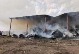 Incendiul izbucnit la un depozit de furaje în comuna Ripiceni, stins după 39 de ore