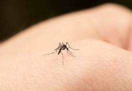 Cum tratăm rapid mușcăturile de țânțari