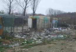 Ador refuză să conducă un lagăr de exterminare dar acceptă să folosească noul padoc pentru sterilizări