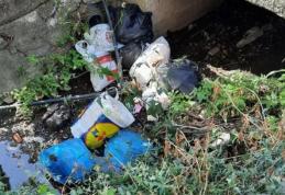 Primim la redacție – Gunoaie aruncate de „oameni civilizați” la Dorohoi - FOTO