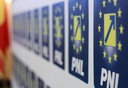 Doina Federovici și liderii PSD nu sunt în stare să vină cu propriul program pentru Botoșani !