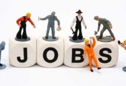 826 locuri de muncă puse la dispoziție de agenți economici în județul Botoșani în această săptămână!