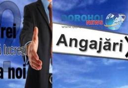 898 locuri de muncă puse la dispoziție de agenți economici în județul Botoșani în această săptămână!