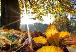 Vremea se va răci accentuat de vineri. Cum va fi vremea în weekend