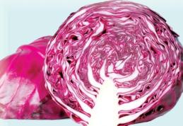 Dieta cu varza roșie împotriva obezității, constipației dar și a cancerului