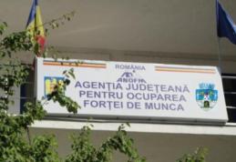 Întreprinderile sociale pot obține atestatul de întreprindere socială de la AJOFM Botoșani