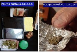 12 percheziții în municipiul Botoșani, la persoane bănuite de trafic de droguri - FOTO