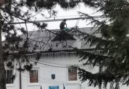 Protest în zorii zilei la Vârfu Câmpului. Un adolescent s-a urcat pe primărie